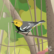 Load image into Gallery viewer, Houghton Falls