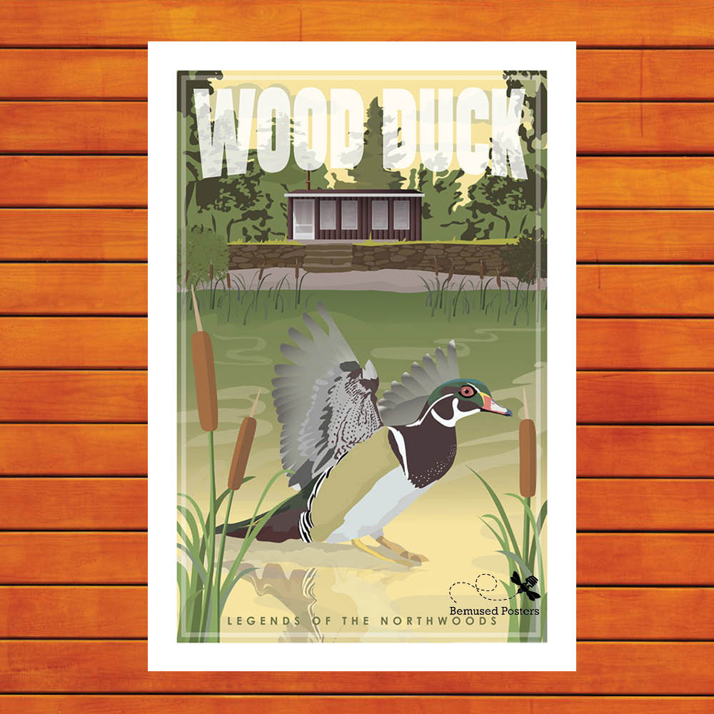 Wood Duck