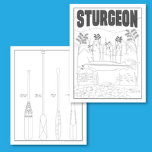 Load image into Gallery viewer, Regalia Coloring Sheets Digital Download
