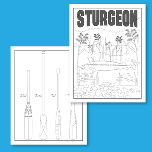 Regalia Coloring Sheets Digital Download