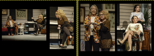 Steel Magnolias Photo Book