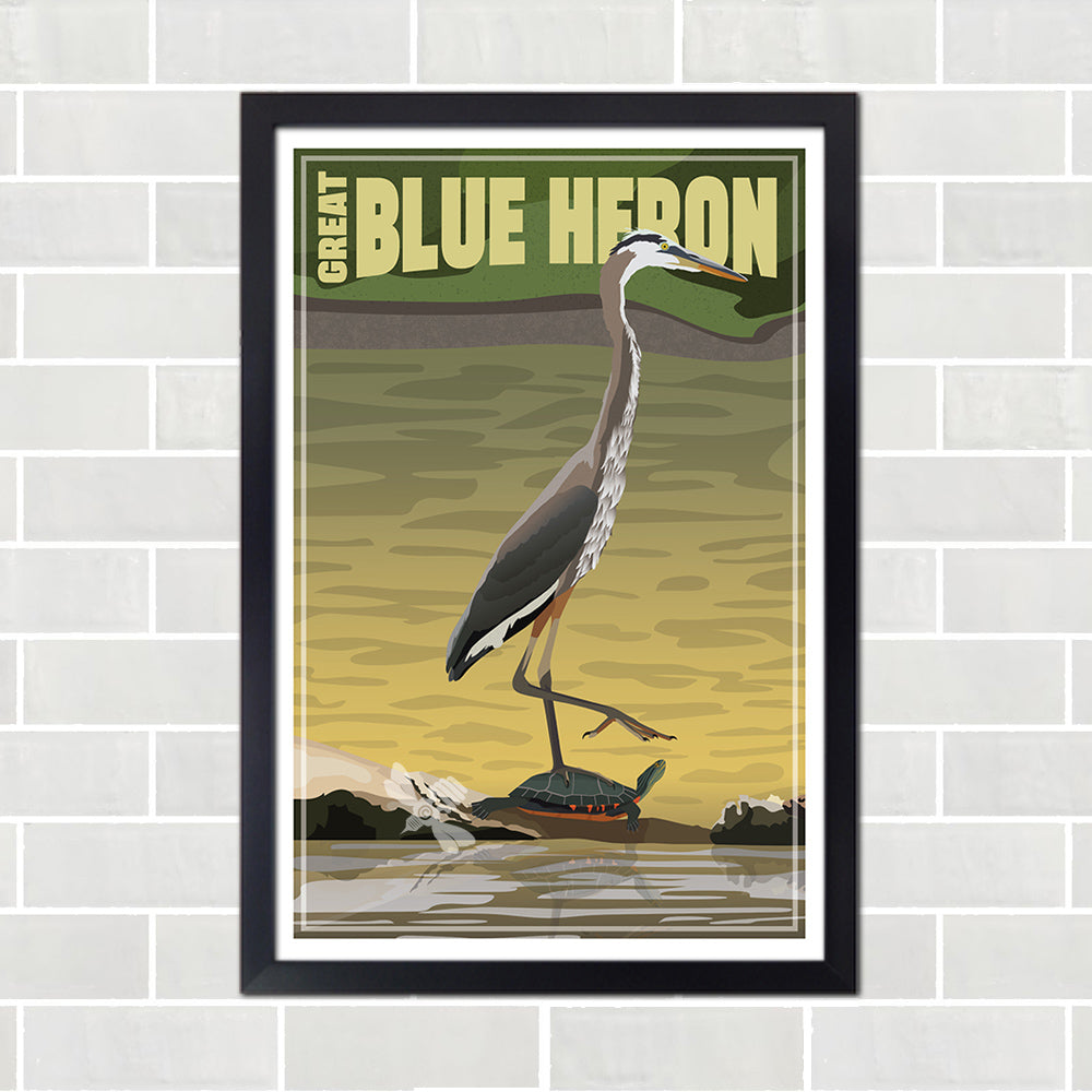Great Blue Heron