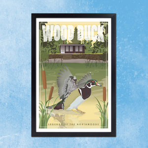 Wood Duck