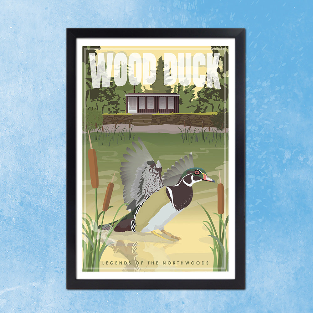 Wood Duck