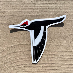 Pileated Woodpecker Sticker